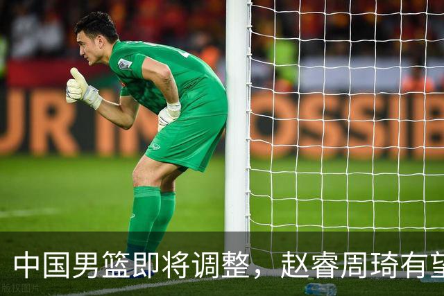中国男篮即将调整，赵睿周琦有望回归，郭士强压力大！