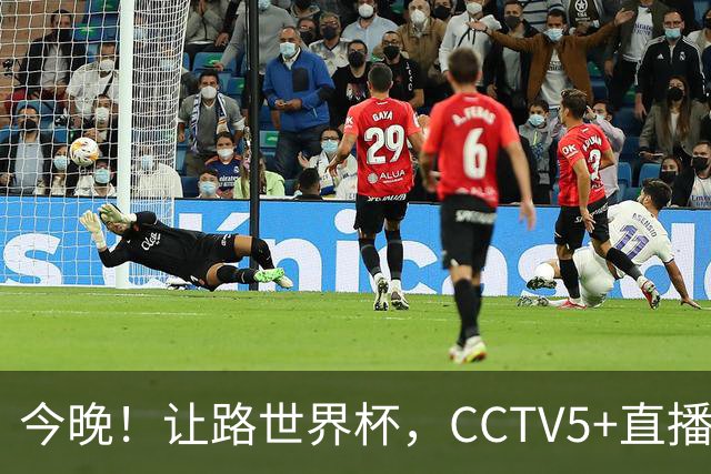 今晚！让路世界杯，CCTV5+直播中国女排VS法国，小将领衔冲击5连胜