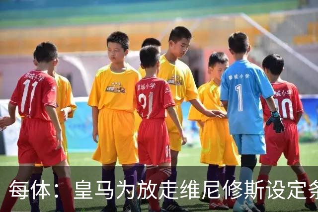 每体：皇马为放走维尼修斯设定条件 报价不得低于1.6亿欧