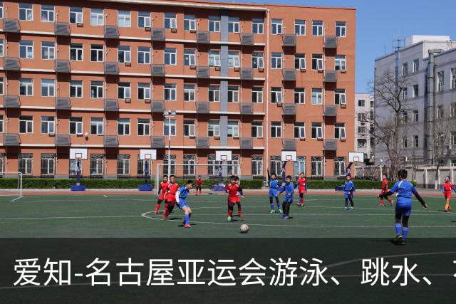 爱知-名古屋亚运会游泳、跳水、花游项目中国队参赛名单公示