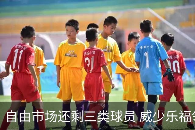 自由市场还剩三类球员 威少乐福领衔失业大军？