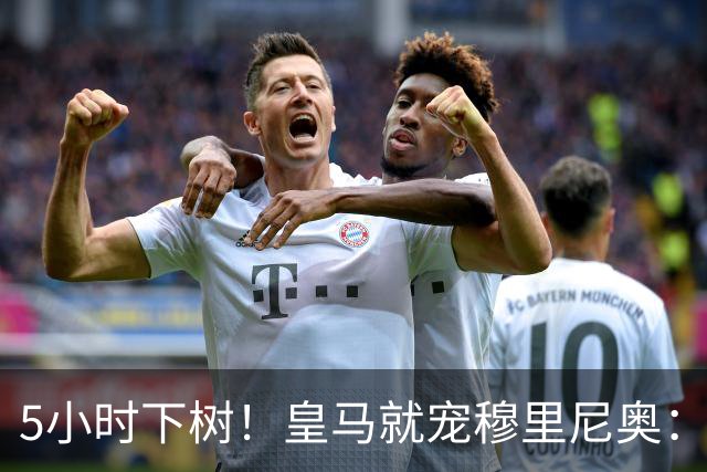 5小时下树！皇马就宠穆里尼奥：第5名新援到位，还有3大目标